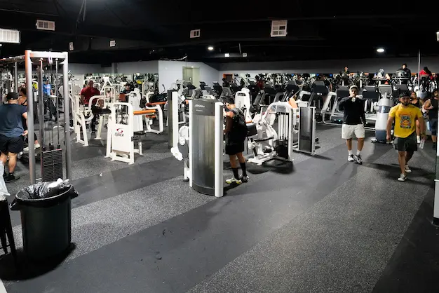 3f794f_77c6c0954a574c2c92c1f0d63956037f~mv2