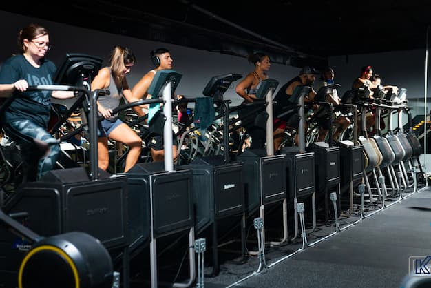 3f794f_b4db53bf452a44ffbfa366124a0bfbc0~mv2